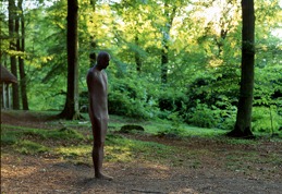 Antony Gormley. Together and Apart